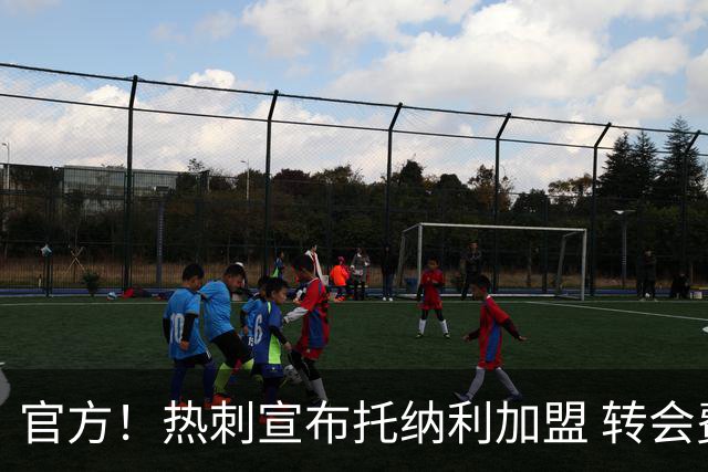 官方！热刺宣布托纳利加盟 转会费1亿镑再破队史纪录